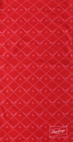 Rawlings Adult Multi-Functional Head And Face Gear, Bats -Rawlings RC40005 600 1