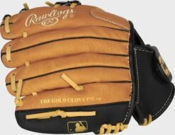 Rawlings Sure Catch 10-Inch Youth I-Web Glove -Rawlings SC100TBI 4